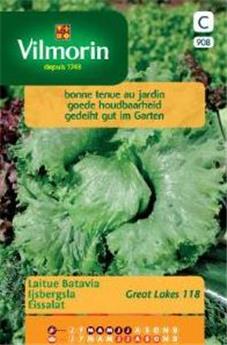Laitue Great Lakes 118 (Iceberg) (Vilm)