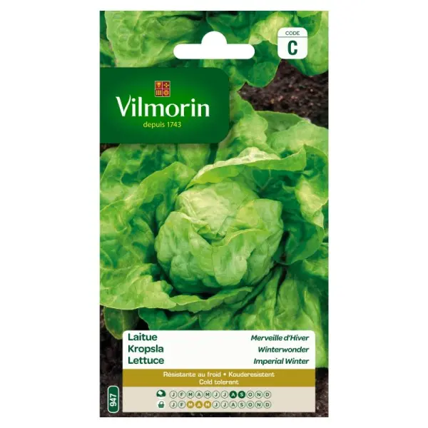 Laitue Merveille D´Hiver (Vilm)