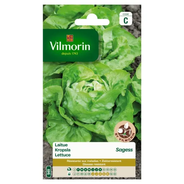Laitue Sagess (Vilm)