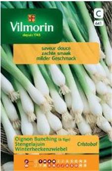 Oignon Tige Freddy  (Vilm)