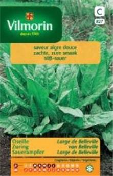 Oseille Large De Belleville (Vilm)