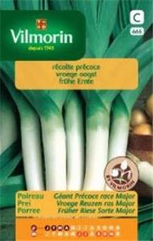Poireau Géant Précoce Race Major  (Vilm)