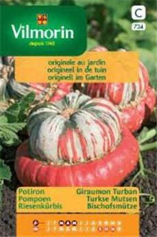 Potiron Giraumon Turban (Vilm)