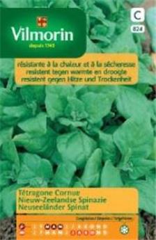 Tétragone Cornue  (Vilm)