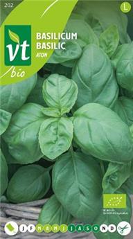 Basilic Aton (*) BIO (VT)