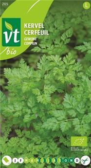 Cerfeuil Commun (*) BIO (VT)