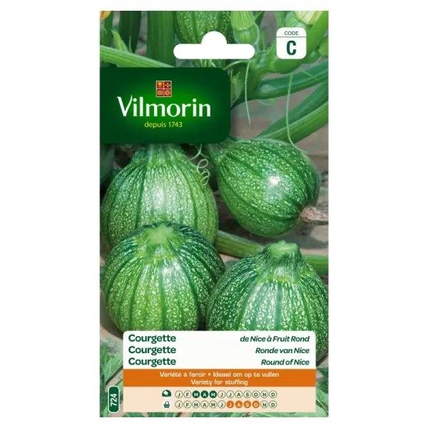 Courgette De Nice À Fruit Rond  (Vilm)