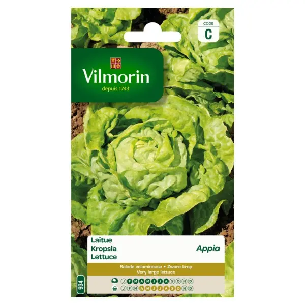 Laitue Appia (Vilm)