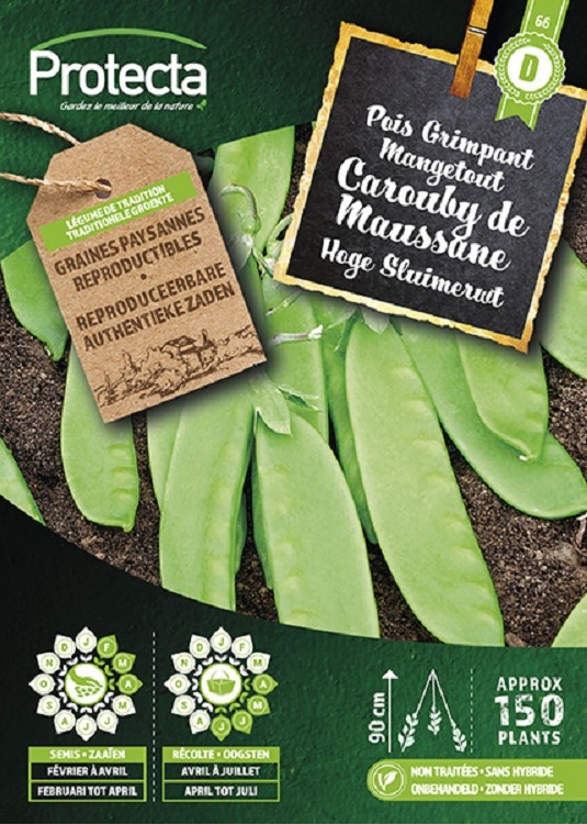 Pois Grimpant Mangetout CAROUBY de Maussane ( Protecta D )