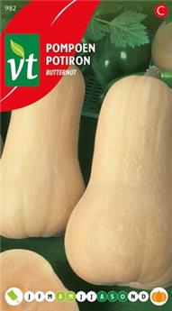 Potiron Butternut (VT)