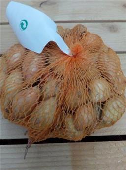 Oignon A Planter D´Hiver Shakespear 250 G