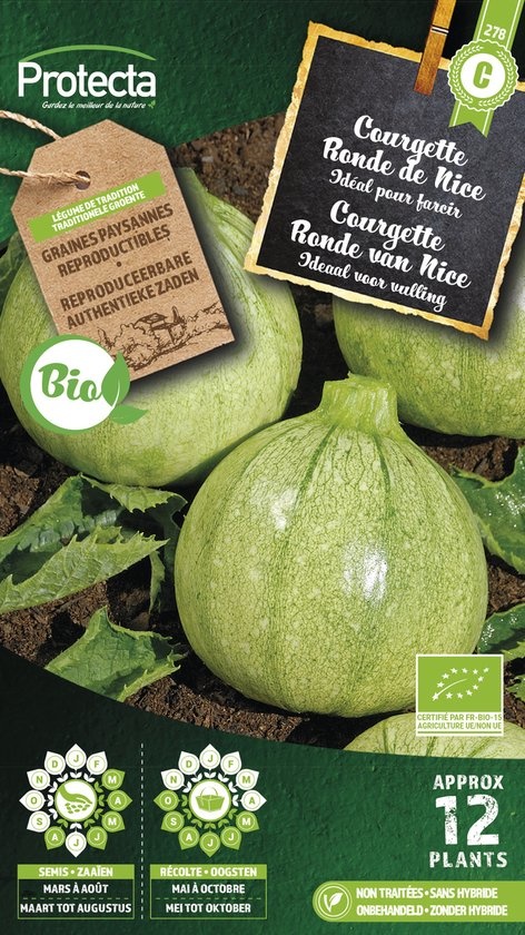 Courgette Ronde de Nice FR-BIO-15 ( Protecta C )