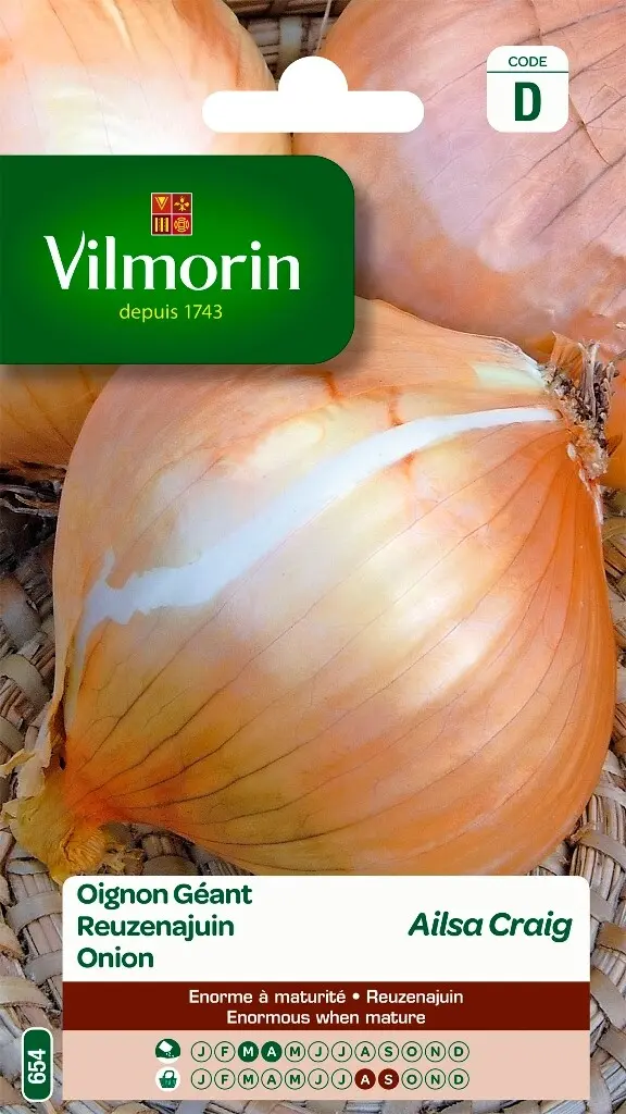 Oignon Jaune Géant Ailsa Craig (Vilm)