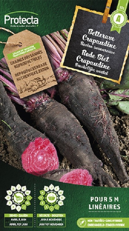 Betterave Crapaudine ( Protecta A )