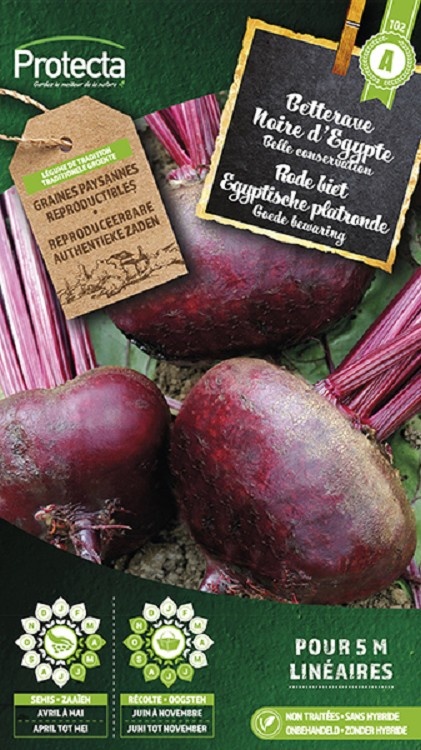Betterave Noire d´Egypte ( Protecta A )