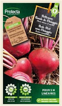 Betterave ronde de Chioggia ( Protecta B )