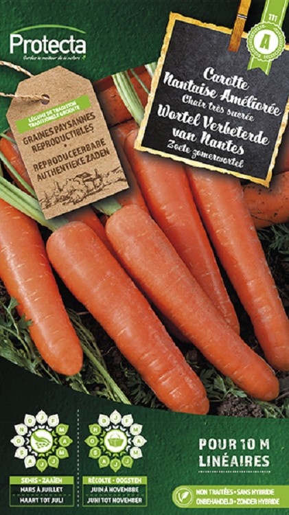 Carotte Nantaise Améliorée 3 ( Protecta A )