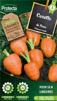 Carotte ronde hâtive de Paris   ( Protecta A )