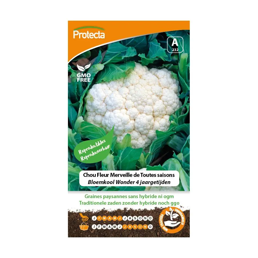 Chou Fleur Merveille de Toutes saisons ( Protecta A )