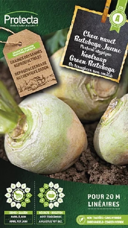 Chou navet Rutabaga jaune à collet vert ( Protecta A )