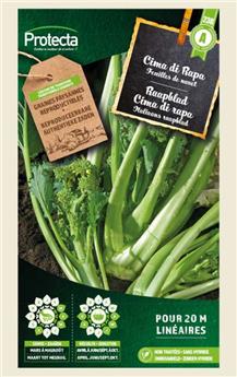 Cima di Rapa Brocoletto ( Protecta A )