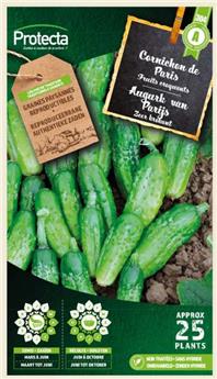 Cornichon vert petit de Paris  ( Protecta A )