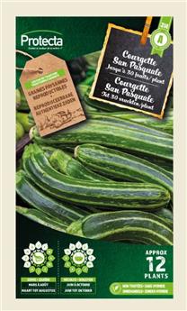 Courgette San Pasquale ( Protecta A )