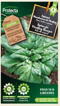 Epinard monstrueux de Viroflay  ( Protecta A )