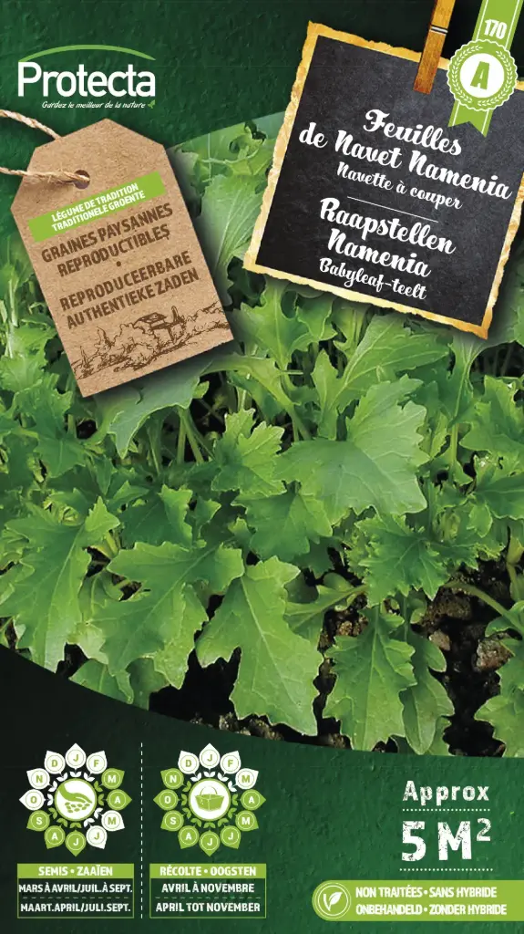 Feuilles de Navet Namenia ( Protecta A )