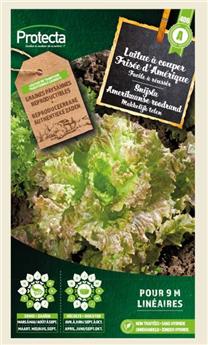 Laitue à couper frisée d´Amérique ( Protecta A )