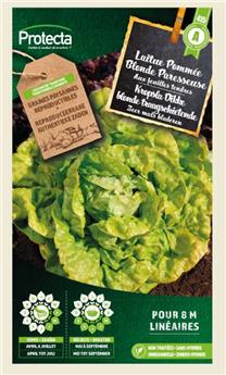 Laitue Pommée Grosse Blonde Paresseuse  ( Protecta A )