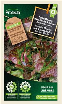 Laitue Pommée Merveille des 4 Saisons  ( Protecta A )