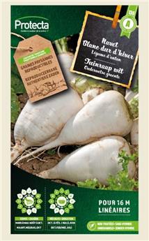Navet blanc dur d´hiver ( Protecta A )