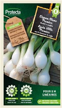 Oignon Grelot blanc Premier ( Protecta A )