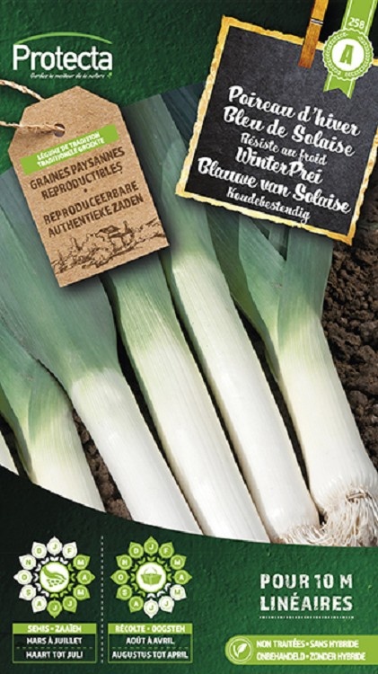 Poireau d´hiver Bleu de Solaise ( Protecta A )