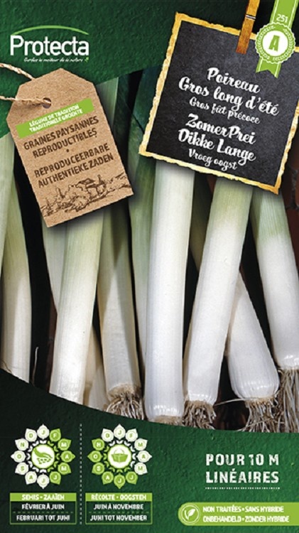 Poireau gros long d´été ( Protecta A )