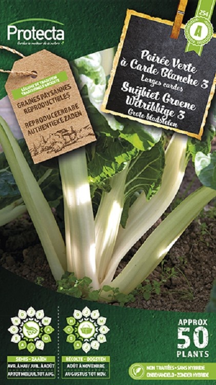 Poirée Verte à Carde Blanche 3 ( Protecta A )