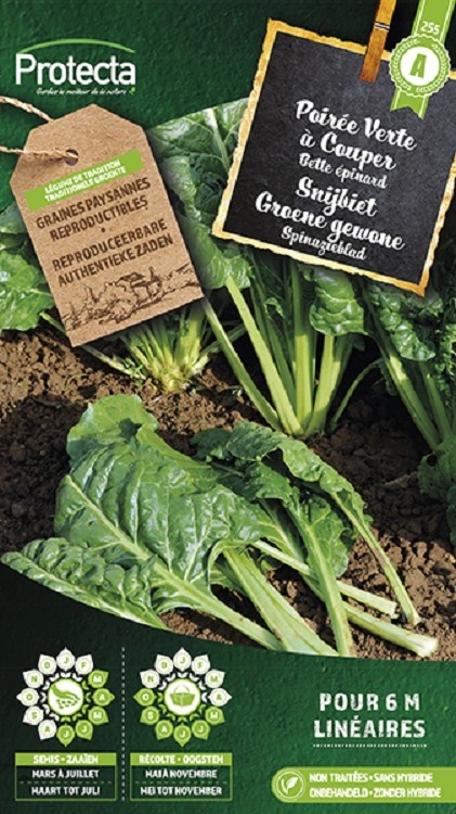 Poirée Verte à Couper Bette Epinard ( Protecta A )