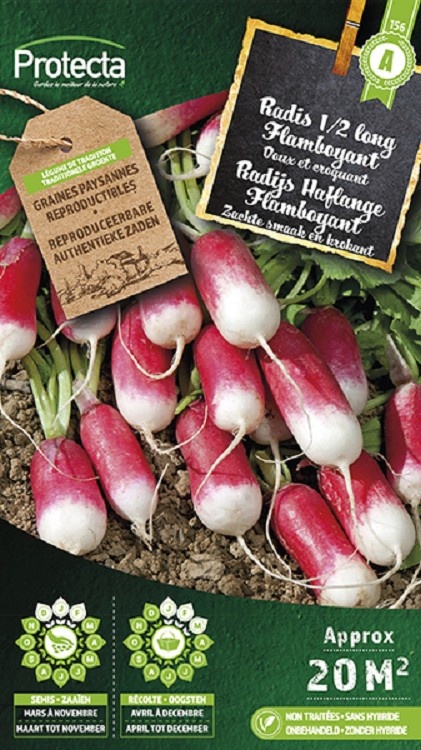 Radis 1/2 long Flamboyant ( Protecta A )