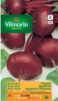 Betterave D´Egypte (Vilm)