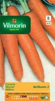 Carotte Berlikumer 2 (Vilm)