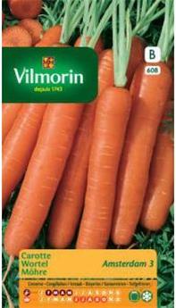 Carotte D´Amsterdam (Vilm)
