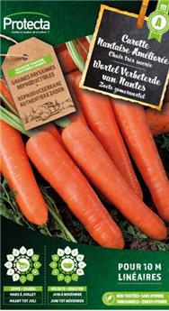 Carotte Nantaise Améliorée 3 (Vilm)