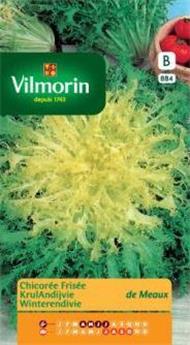 Chicorée Frisée De Meaux  (Vilm)