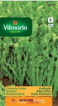 Chicorée Frisée Endivette  (Vilm)