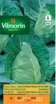 Chou Cabus Coeur De Boeuf Moyen De La Halle  (Vilm)