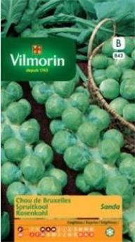 Chou De Bruxelles Sanda  (Vilm)