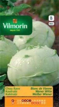 Chou Rave Blanc Hâtif De Vienne  (Vilm)