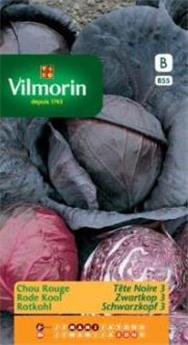 Chou Rouge Tête Noir  (Vilm)