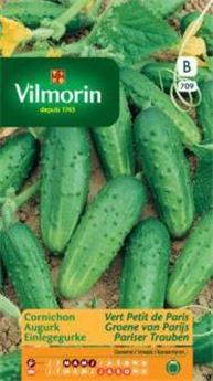 Cornichon Vert Petit De Paris  (Vilm)